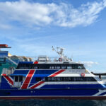 Seattle: Half-Day Wildlife and Whale Watching Cruise - Duration and Schedule of the Wildlife Tour