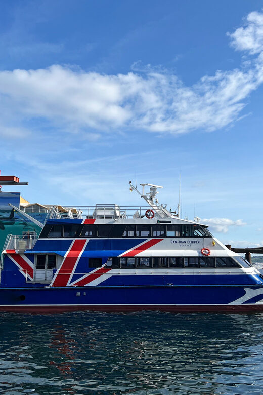 Seattle: Half-Day Wildlife and Whale Watching Cruise - Duration and Schedule of the Wildlife Tour