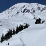 Seattle: Mt. Rainier Hiking w/ Waterfalls, Glaciers & Trees - What Time Does the Tour Start and How Long Does It Last?