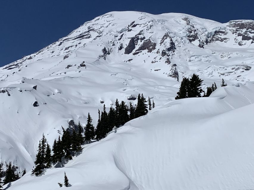 Seattle: Mt. Rainier Hiking w/ Waterfalls, Glaciers & Trees - What Time Does the Tour Start and How Long Does It Last?