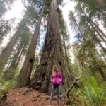 Seattle to California: National Parks and Coast Road Trip - From Seattle to San Francisco in 6 Days