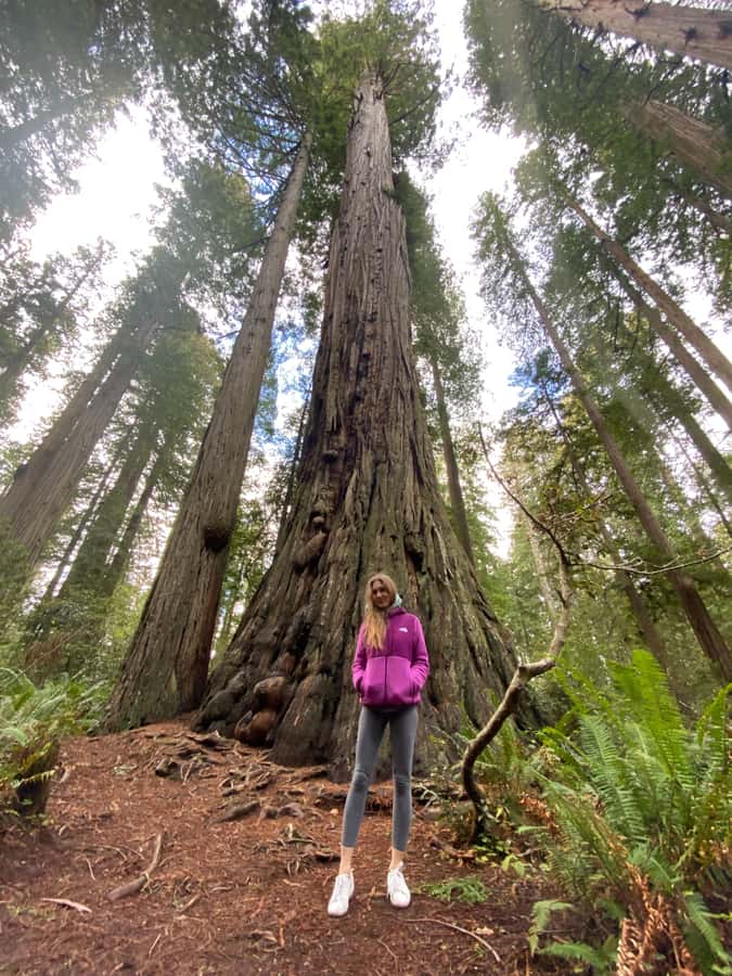 Seattle to California: National Parks and Coast Road Trip - From Seattle to San Francisco in 6 Days