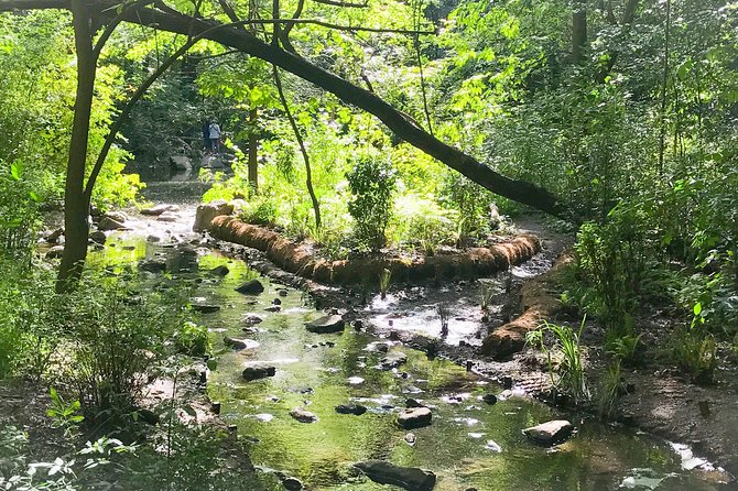 Secret Places of Central Park - The Pool and Grotto Waterfall
