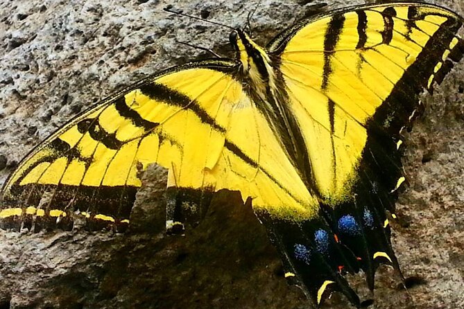 Sedona Creekside of Cathedral Rock Hike With a Private Guide - Included Gear and Snacks for Comfort