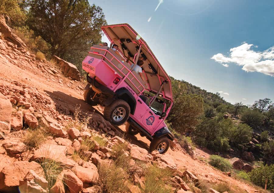Sedona: Diamondback Gulch Pink Jeep Tour - Iconic Sedona Rock Formations: Lizard Head and Doe Mesa