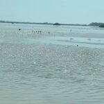 See the 5 Most Visited Points in Progress - Starting Point and Logistics in Merida