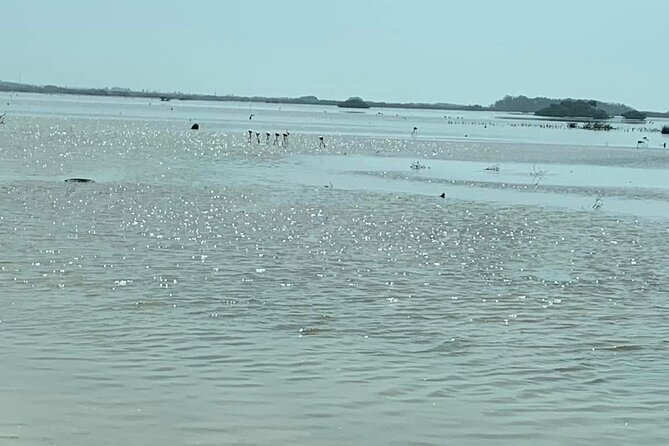 See the 5 Most Visited Points in Progress - Starting Point and Logistics in Merida