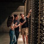 Segovia & Ribera del Duero Winery with Wine Tasting from Madrid - Starting Point and Pickup Details at Plaza de San Miguel