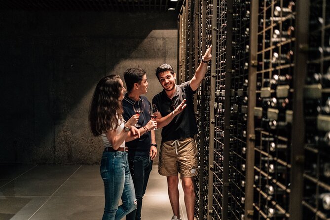 Segovia & Ribera del Duero Winery with Wine Tasting from Madrid - Starting Point and Pickup Details at Plaza de San Miguel