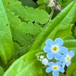Segway Coastal Scenic Rainforest Tour - Easy and Quick Segway Training for All Skill Levels