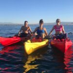 Segway Tours - Exploring the Balboa Pier and Its Historic Significance