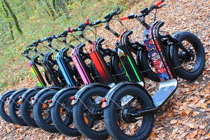 Seignosse electric scooter excursion - Riding Fat Electric Scooters on Forest and Sandy Paths