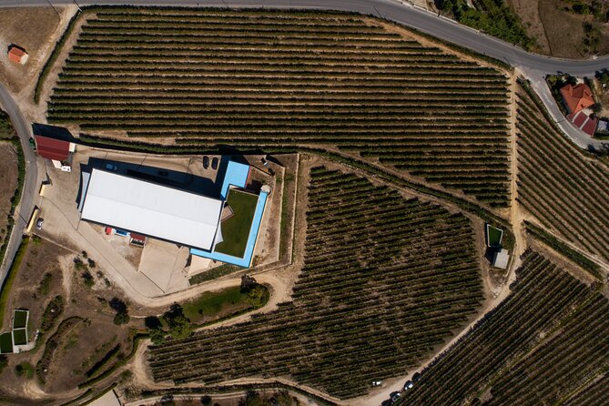 Selection Tasting | Quinta de Santa Cristina Vinho Verde - Visiting Quinta de Santa Cristina in Braga