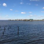 Self-Guided Audio Driving Tour in Creole Nature Trail - Cameron Ferry West Landing: Scenic Waterway Crossing