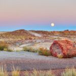Self-Guided Audio Driving Tour in Petrified Forest National Park - Tiponi Point: The Scenic Overlook of Painted Desert Badlands