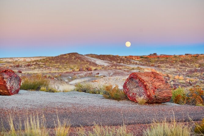 Self-Guided Audio Driving Tour in Petrified Forest National Park - Tiponi Point: The Scenic Overlook of Painted Desert Badlands