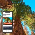 Self-Guided Audio Driving Tour in Sequoia and Kings Canyon - The Four Guardsmen: Natural Tree Gateways