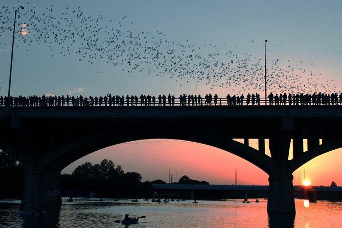 Self-Guided Austin Scavenger Hunt: Birds, Bats, BBQ and Bass - Discovering Austin’s Natural Beauty and Iconic Buildings