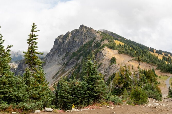 Self Guided Driving Audio Tour of Mount Rainier National Park - Start at the Nisqually Entrance, the Gateway to Mount Rainier
