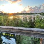 Self-Guided E-Bike or Cruiser Bike Tour of St. Andrews State Park - Starting Point: The Boutique Bike Shop on Thomas Drive