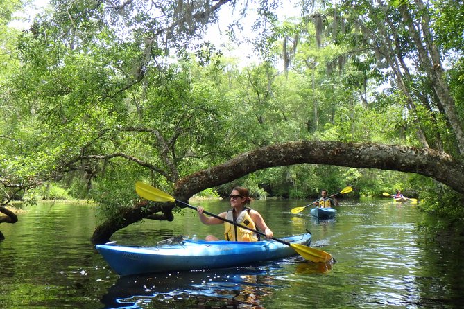 Self Guided Family Friendly Kayak Rental Experience Old Florida - Meeting Point and Logistics for a Seamless Experience