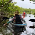 Self-Guided Island Tour: CLEAR/Standard Kayak, SUP-Bonita Springs - Bonita Springs’ natural beauty and wildlife on a self-guided paddle