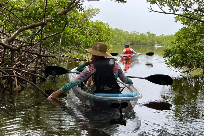Self-Guided Island Tour: CLEAR/Standard Kayak, SUP-Bonita Springs - Bonita Springs’ natural beauty and wildlife on a self-guided paddle