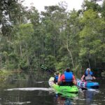 Self-Guided Kayaking: Real Florida Adventure - Explore Amelia Islands Scenic Black Water Tributary with Self-Guided Kayaking