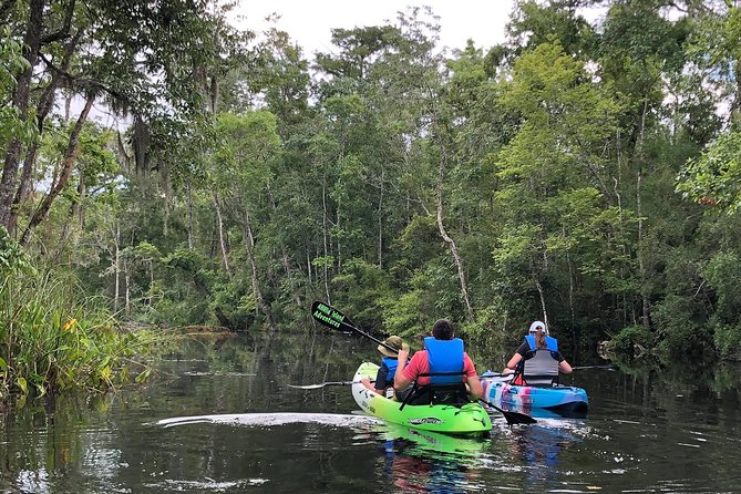Self-Guided Kayaking: Real Florida Adventure - Explore Amelia Islands Scenic Black Water Tributary with Self-Guided Kayaking