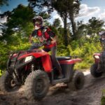 Selvatica Park Ziplines, Cenote, and ATV Tour From Cancun and Riviera Maya - Exploring Selvaticas Zipline Circuit and Zipline Coaster