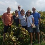 Semi-Private Wine Discovery Tour in Chania - Visiting Two Family-Owned Wineries with Unique Character