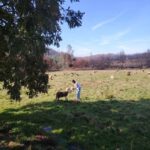 Serra da Estrela - Food and Mountain Experience - Visit a Traditional Sheep Farm in Serra da Estrela