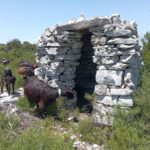 Serra dos Candeeiros : Shepherd for a morning - Starting at Largo Terra Chã in the Village of Chão