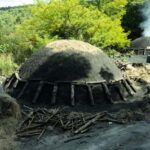 Serra San Bruno: Archiforo Forest and the charcoal burners' tradition - Discovering the Archiforo Forest: One of the Worlds Top 40 Forests