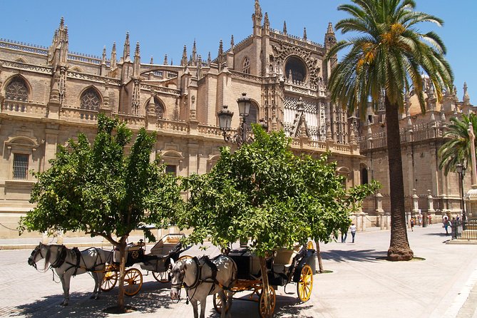 Sevilla: Best Monumental Free Walking Tour - Exploring the Exterior of the Royal Alcazar