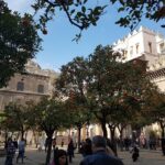 Seville Cathedral Tour including tickets and skip the line entry - From the Historic Center to the Gothic Marvel