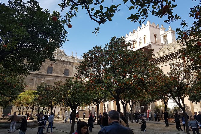 Seville Cathedral Tour including tickets and skip the line entry - From the Historic Center to the Gothic Marvel
