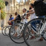 Seville Highlights Bike Tour (English) - Iconic Landmarks: Torre del Oro and Giralda Tower