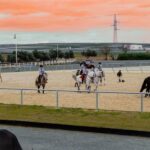 Seville: Horse's Show Entry Ticket. Optional Stud Farm Visit - How the "Story of a Champion" Motivational Visit Enriches the Experience