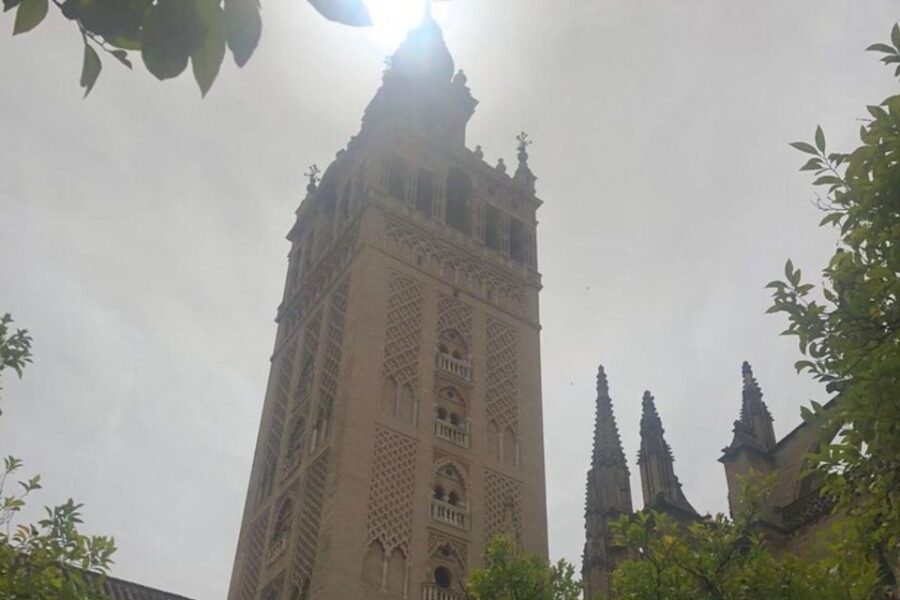 Seville: Private custom tour with a local guide - The Experience of a Private Guided Walking Tour