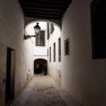 Seville: Santa Cruz Private Tour - Walking Through Narrow Streets and Picturesque Squares