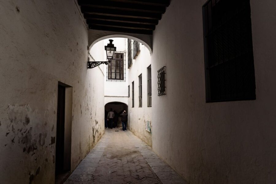 Seville: Santa Cruz Private Tour - Walking Through Narrow Streets and Picturesque Squares