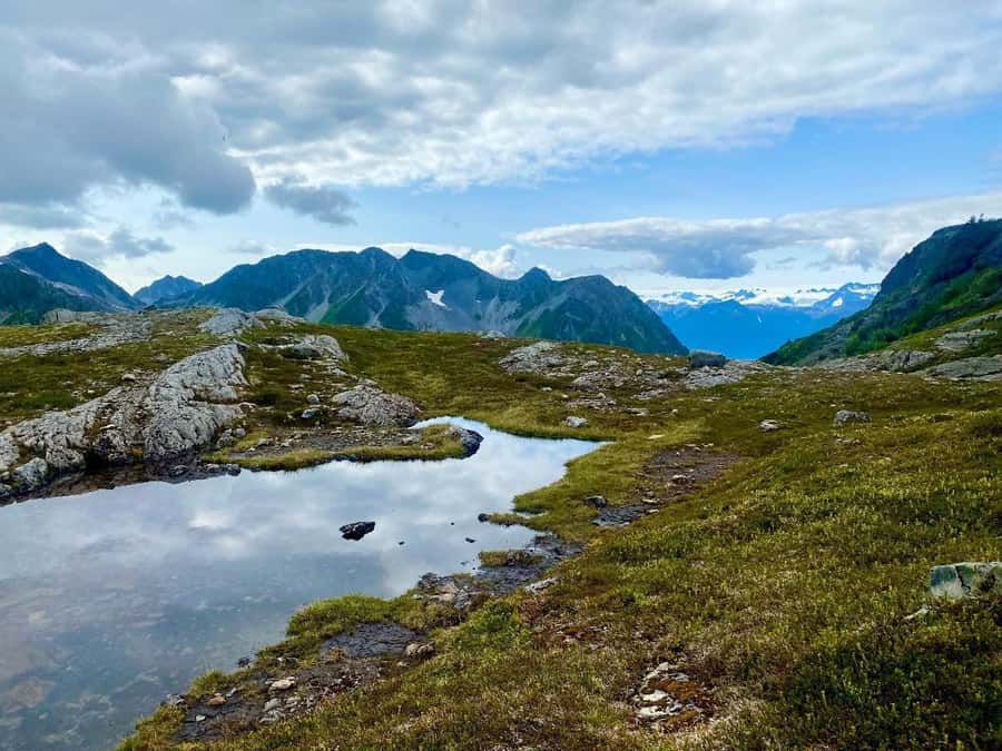 Seward: Alpine Hike and Picnic Helicopter Tour - Guided Hike Through Alpine Meadows for Intimate Nature Encounters