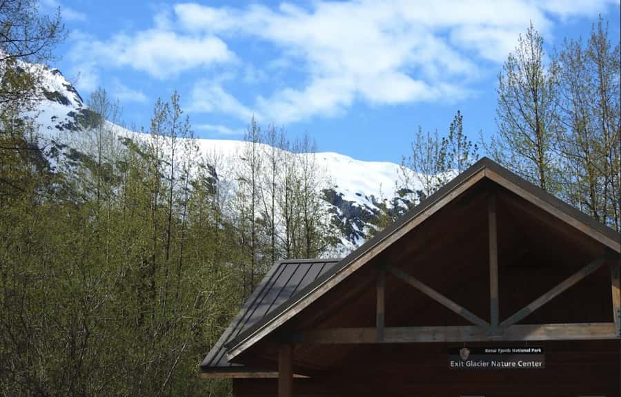 Seward: Exit Glacier Nature Hike with Scenic Views - Exploring the Exit Glacier Overlook Trail