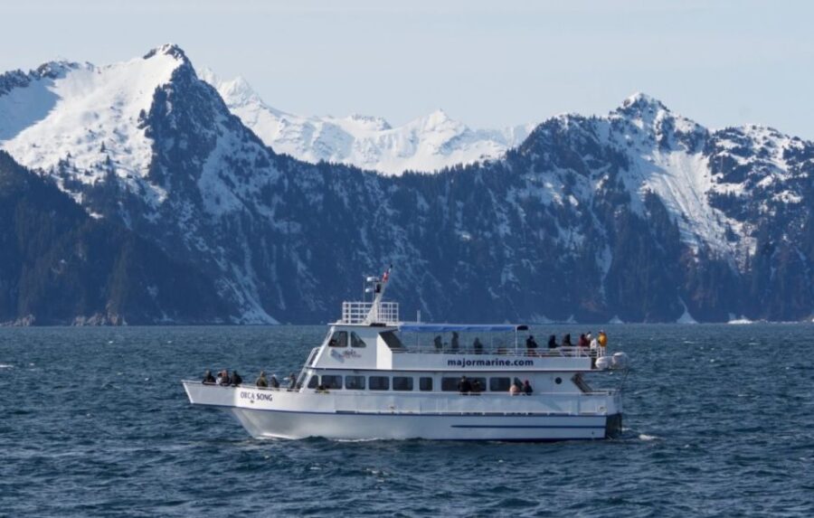 Seward: Spring Wildlife Guided Cruise - Embarking from Seward and the Meeting Point at Harbor 360 Hotel