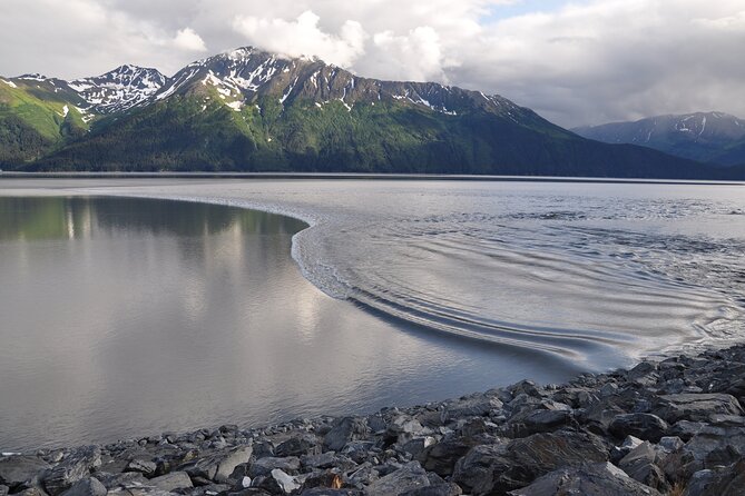 Seward to Anchorage Direct Transfer Tour - Meeting Point at Seward Cruise Terminal