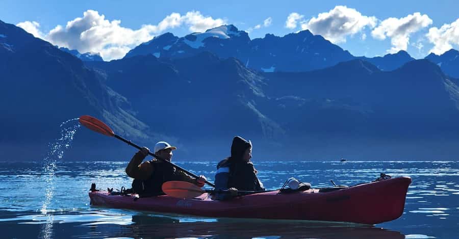 Seward: Tonsina Point Kayak & Exit Glacier Nature Hike - Kayaking in Resurrection Bay: Wildlife and Calm Waters
