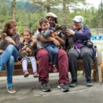 Seward: Turning Heads Kennel Tour & Dog Sled Ride - Meet the Iditarod Sled Dogs at Turning Heads Kennel