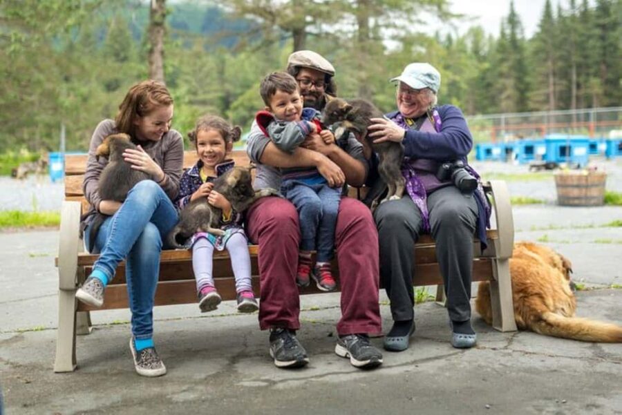Seward: Turning Heads Kennel Tour & Dog Sled Ride - Meet the Iditarod Sled Dogs at Turning Heads Kennel