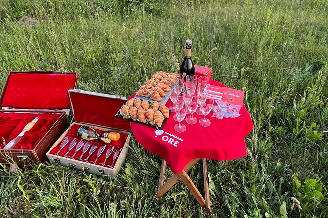 Shared Balloon Ride  Vilnius or Trakai, Hotel Pickup Included - Scenic Flights Over Vilnius and Trakai